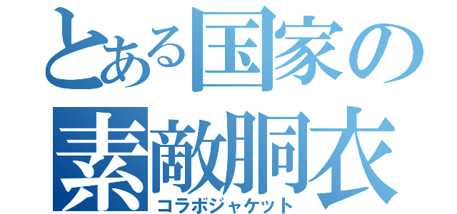 とある国家の素敵胴衣（コラボジャケット）