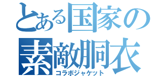 とある国家の素敵胴衣（コラボジャケット）