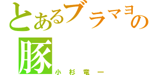 とあるブラマヨの豚（小杉竜一）