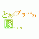 とあるブラマヨの豚（小杉竜一）