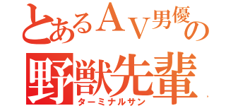 とあるＡＶ男優の野獣先輩（ターミナルサン）