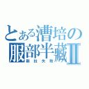 とある漕培の服部半藏Ⅱ（刷拉失敗）