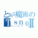 とある魔術のＴｓｎｏｗⅡ（ティースノウ）