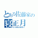 とある佐藤家の寝正月（ひろ君は初売り）