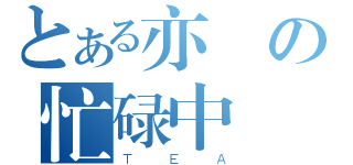 とある亦の忙碌中（ＴＥＡ）