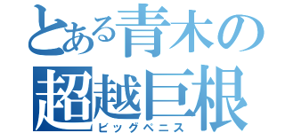 とある青木の超越巨根（ビッグペニス）