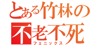 とある竹林の不老不死（フェニックス）