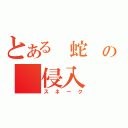 とある　蛇　の　侵入　（スネーク）