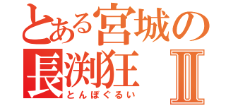 とある宮城の長渕狂Ⅱ（とんぼぐるい）