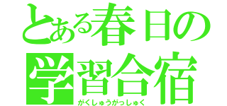 とある春日の学習合宿（がくしゅうがっしゅく）