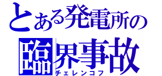 とある発電所の臨界事故（チェレンコフ）