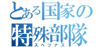 とある国家の特殊部隊（スペツナズ）