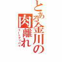 とある金川の肉離れ（ミートグッバイ）