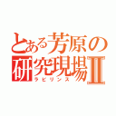 とある芳原の研究現場Ⅱ（ラビリンス）