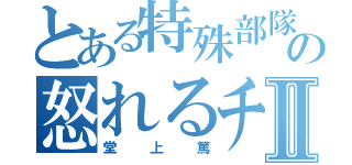 とある特殊部隊の怒れるチビⅡ（堂上篤）