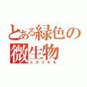 とある緑色の微生物（ミカヅキモ）