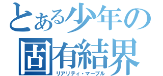 とある少年の固有結界（リアリティ・マーブル）