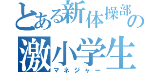 とある新体操部の激小学生（マネジャー）