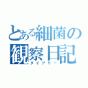 とある細菌の観察日記（ダイアリー）