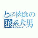 とある肉食の狼系犬男子（見せられないよ！）