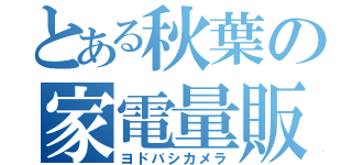 とある秋葉の家電量販（ヨドバシカメラ）