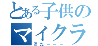 とある子供のマイクラ時間（匠だーーー）