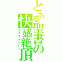 とある聖書の快感絶頂（エクスタシー）