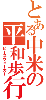 とある中米の平和歩行（ピースウォーカー）