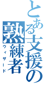 とある支援の熟練者（ウィザード）