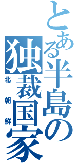 とある半島の独裁国家（北朝鮮）