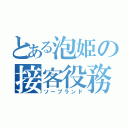 とある泡姫の接客役務（ソープランド）