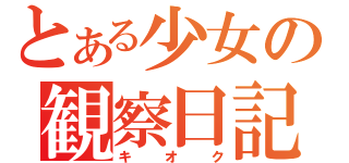 とある少女の観察日記（キオク）