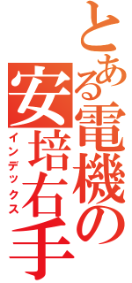 とある電機の安培右手（インデックス）