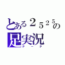 とある２５２５の足実況（Ｐ－Ｐ）