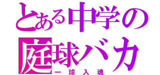 とある中学の庭球バカ（一球入魂）