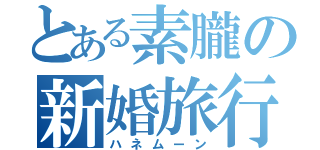 とある素朧の新婚旅行（ハネムーン）