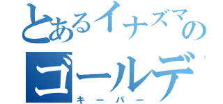 とあるイナズマ町のゴールデン（キーパー）