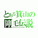 とある箕山の剛毛伝説（ベイジャングル）