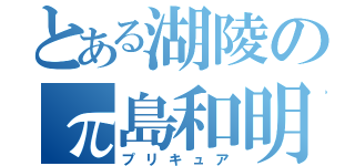 とある湖陵のπ島和明（プリキュア）