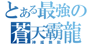 とある最強の蒼天霸龍（神威無敵）