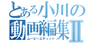 とある小川の動画編集Ⅱ（ムービーエディット）