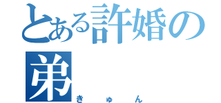 とある許婚の弟（きゅん）