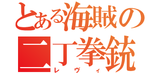 とある海賊の二丁拳銃（レヴィ）