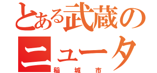 とある武蔵のニュータウン（稲城市）