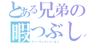 とある兄弟の暇つぶし（アッーウッウッイーネ！）