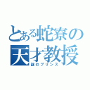 とある蛇寮の天才教授（謎のプリンス）