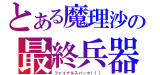 とある魔理沙の最終兵器（ファイナルスパーク！！！）