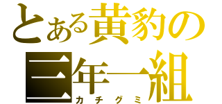 とある黄豹の三年一組（カチグミ）