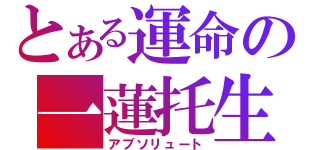 とある運命の一蓮托生（アブソリュート）