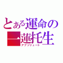 とある運命の一蓮托生（アブソリュート）